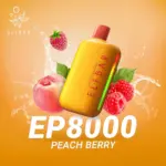 ELF Bar EP8000 Puffs Disposable Vape Double Mango