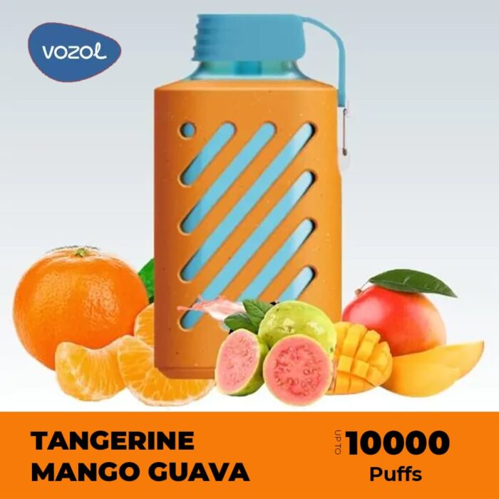 vozol gear 10000 puffs tangerine mango guava