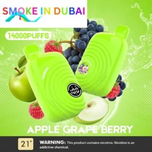 ISGO Paris 2% nicotine Disposable 14000 Puffs Rechargeable Vape in Dubai, UAE