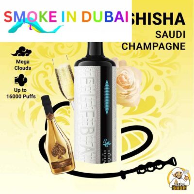 ELF BAR E-Shisha 16000 puffs Mega Cloud DTL 0.5% Nicotine