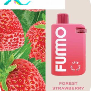 FUMMO Spin Disposable 10000 Puffs 20MG Rechargeable Vape in Dubai, UAE