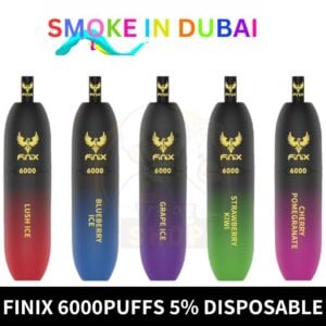 Finix 6000 Puffs 5% Nicotine Disposable Vape In Dubai, UAE