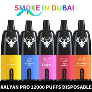 KALYAN Pro 12000 Puffs 50MG Disposable Vape