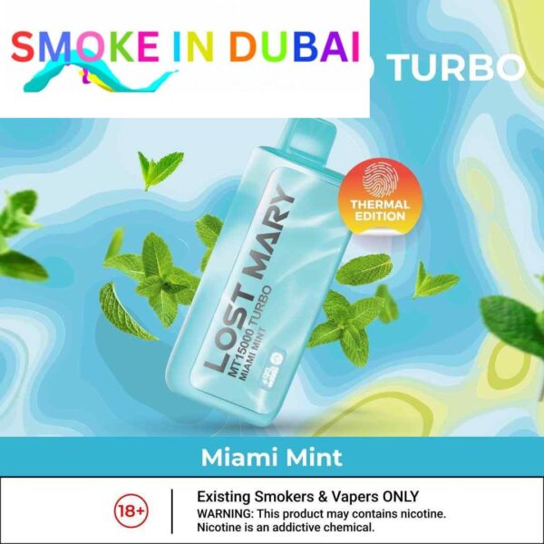 smokeindubai LOST MARY MT15000 15000 Puffs Price in Dubai MIAMI MINT