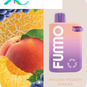 FUMMO Spin Disposable 10000 Puffs 20MG Rechargeable Vape in Dubai, UAE