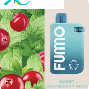 FUMMO Spin Disposable 10000 Puffs 20MG Rechargeable Vape in Dubai, UAE