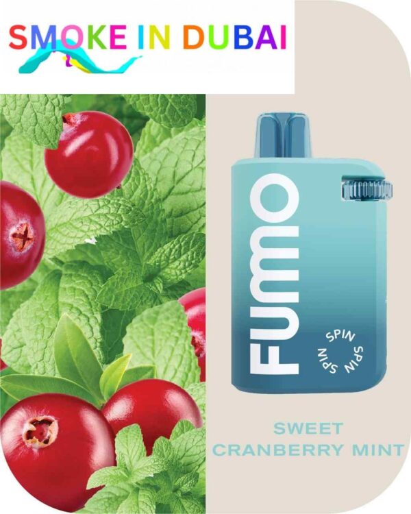 FUMMO Spin Disposable 10000 Puffs 20MG Rechargeable Vape in Dubai, UAE