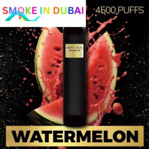 smokeindubai WATERMELON Buy HEY LOLA 4500 Puffs Disposable 10ml 20mg Rechargeable Vape in Abu Dhabi UAE HEY LOLA Disposable Buy in Dubai 1.2 ohm Near Me