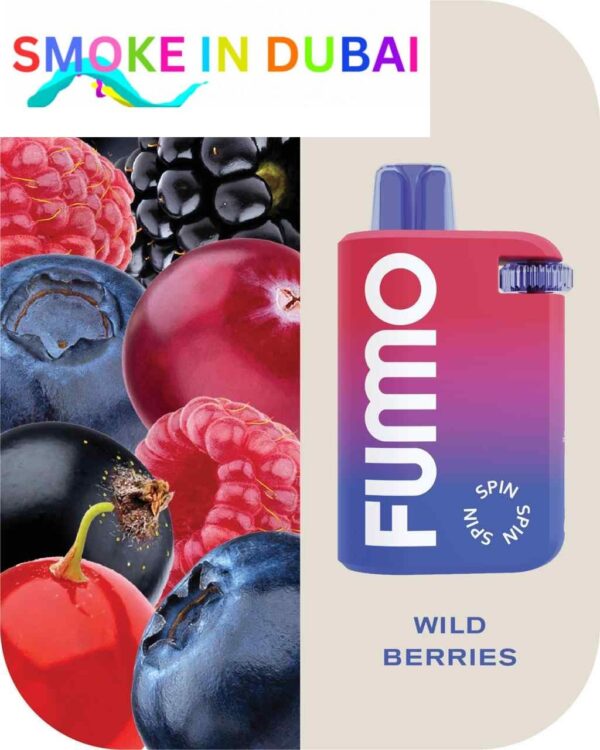FUMMO Spin Disposable 10000 Puffs 20MG Rechargeable Vape in Dubai, UAE