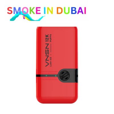 smokeindubai vnsn smart 12K puffs LUSE ICE